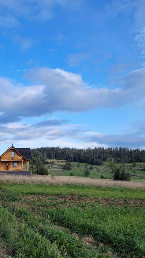Villa Hamajdowka Zubrzyca Gorna Esterno foto